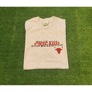 Vintage Chicago Bulls shirt large mens Michael Jordan gray 1990s embroidered
